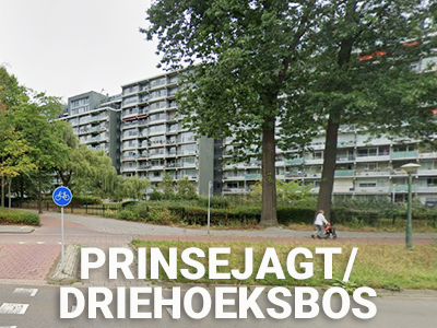 PRINSEJAGT/DRIEHOEKSBOS